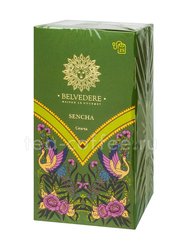 Чай Belvedere зеленая Сенча в пакетиках 25 шт