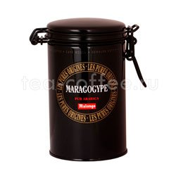 Кофе Malongo молотый Maragogype 250 гр (ж.б.)