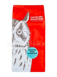 Кофе Owl в зернах Sumatra Gayo Mountain 1 кг Россия