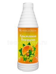 ProffSyrup Крыжовник-Апельсин Основа для напитков 1 кг 