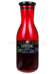Agroyans Компот из ежевики 1050 г 
