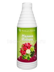 ProffSyrup Малина-Фейхоа Основа для напитков 1 кг
