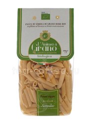 Макаронные изделия LAnima di Grano Penne Rigate Bio 500 гр